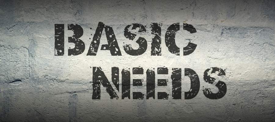 Basic Needs Support